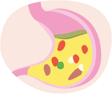 A piece of food entering the stomach and all the stomachs contents being dissolved.