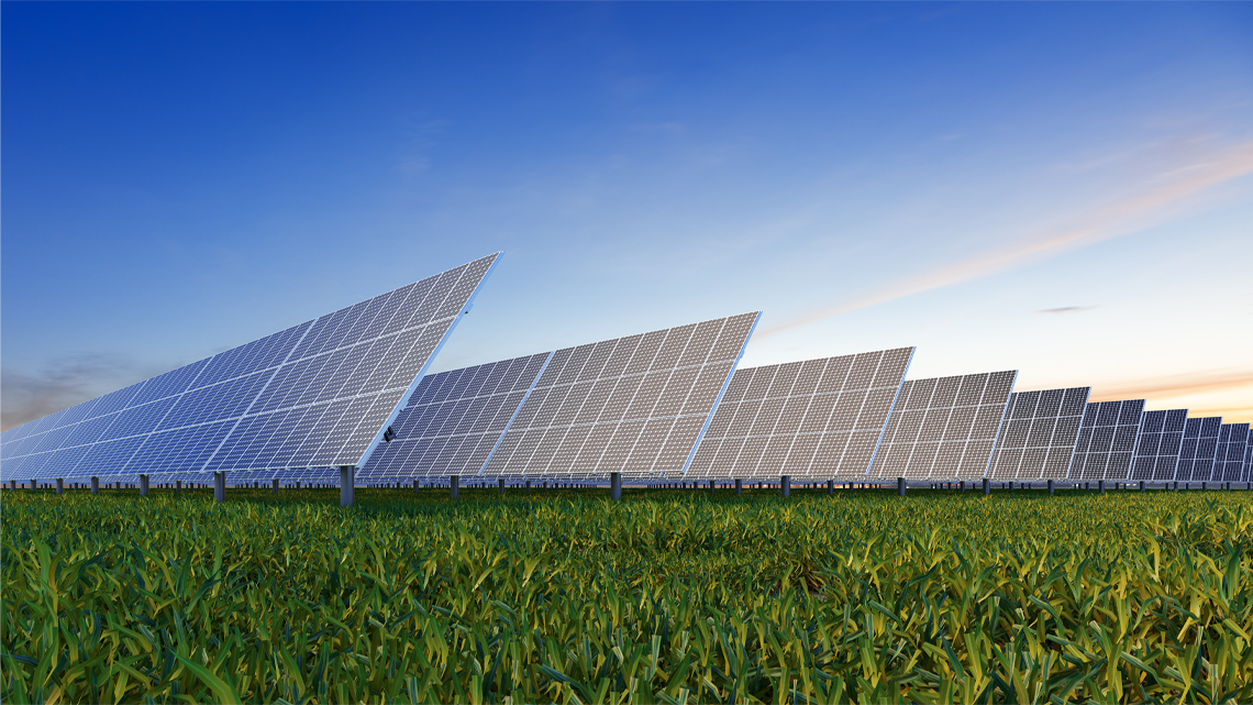 There are over 9 solar panels side by side in a field all leaning toward the sun. Each panel is very long.