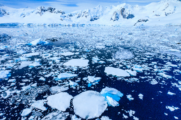 Ice chunks floating