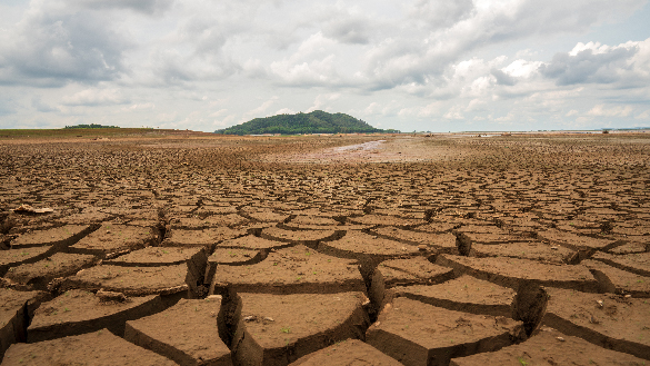 A dry and cracked desert ground.
