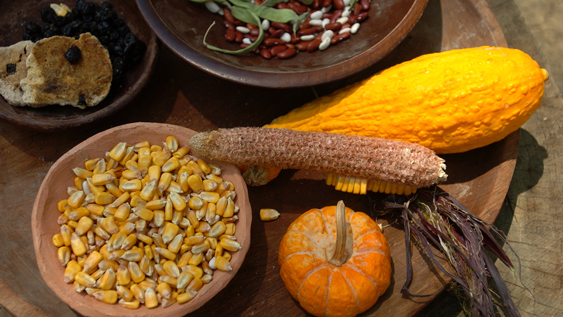 Squash, dried corn and beans.
