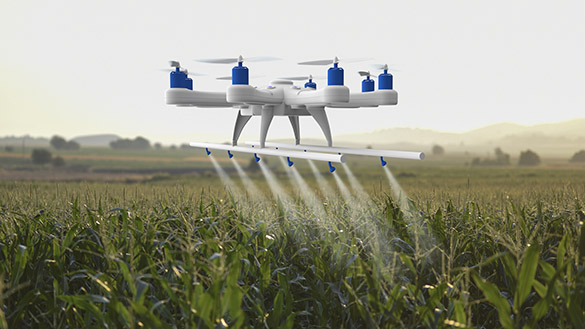 A drone flying over a field of corns while watering it.