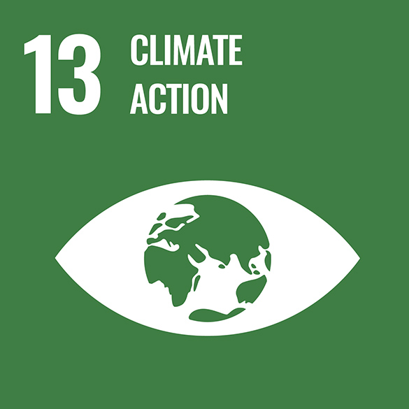 This goal is climate action with the earth as the iris of an eye.