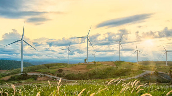 A field of wind turbines.