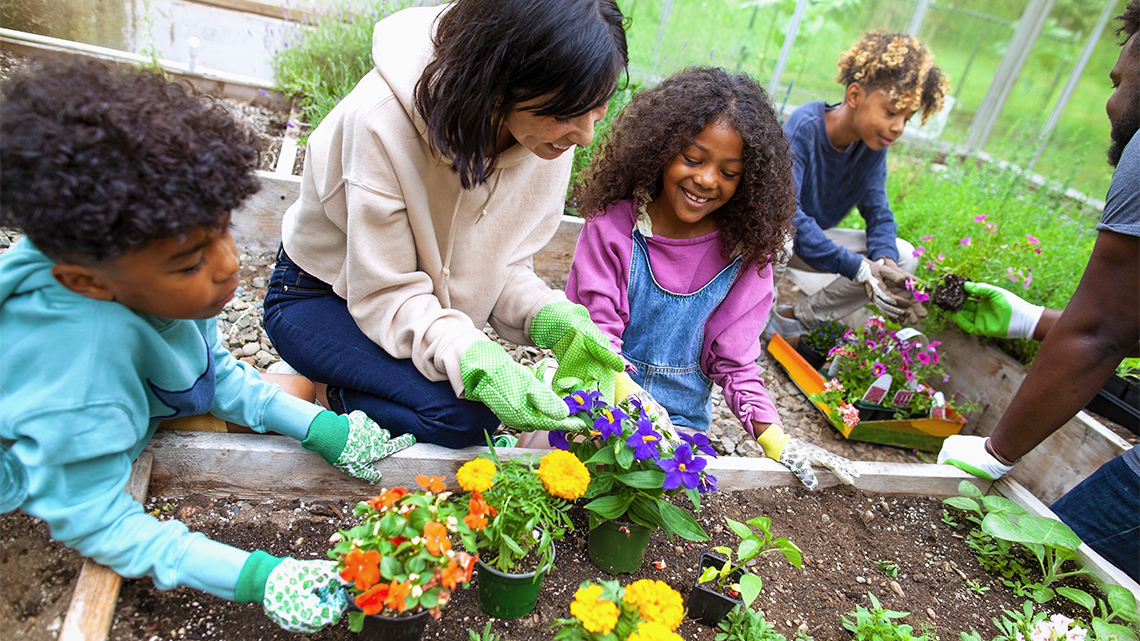 An adult and two children plant flowers in a small plot of soil.