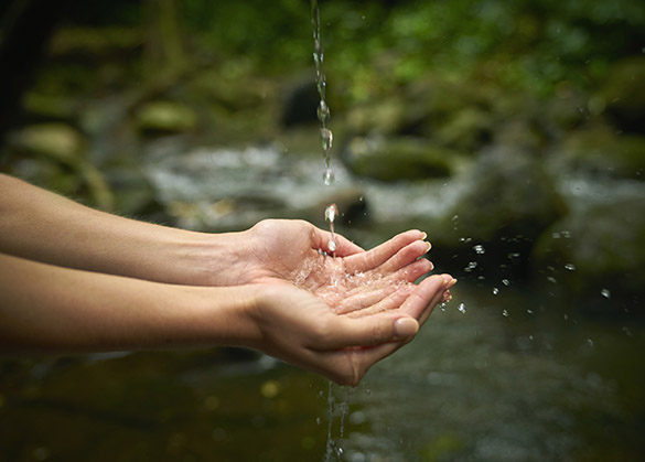 Water pouring into a person's hands.