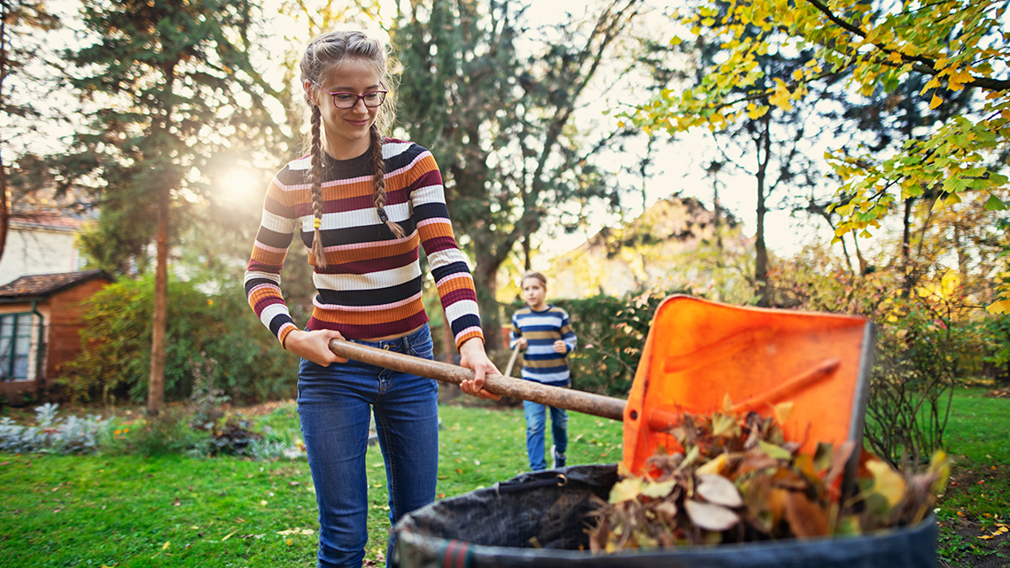 A person shoveling leaves into a bin.