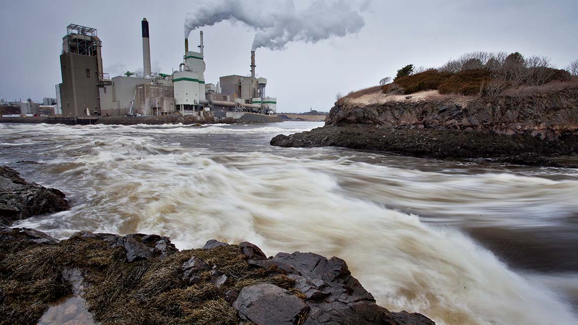 Dirty water flows downstream of a factory..