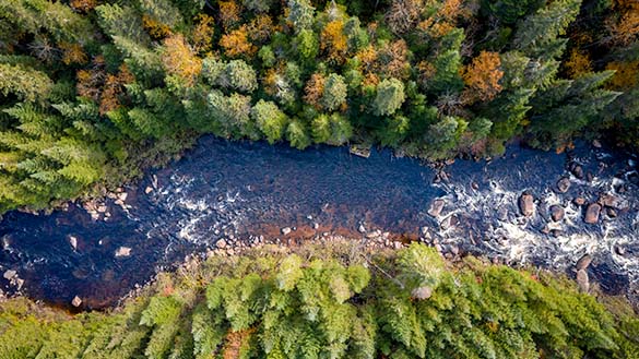 Aerial view of a river in a boreal forest in Quebec.