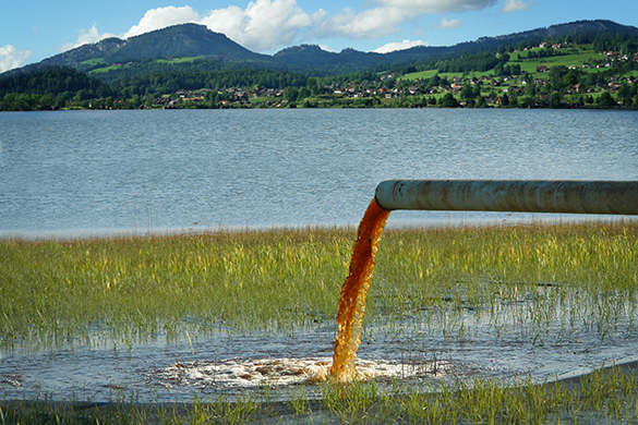 Brown liquid pours out of a pipe into the reeds at the edge of a lake beside a mountain.