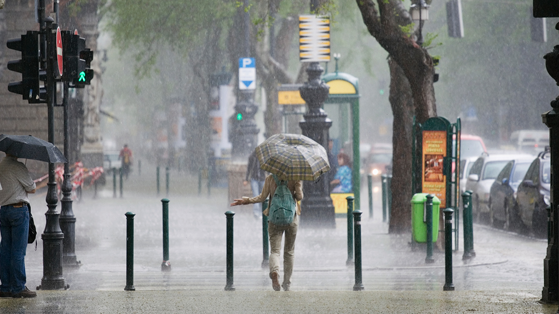 A person walking through the rain holding an umbrella.