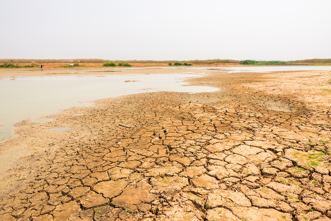 Dry and cracked ground with a small amount of water on pooling and forming a stream.