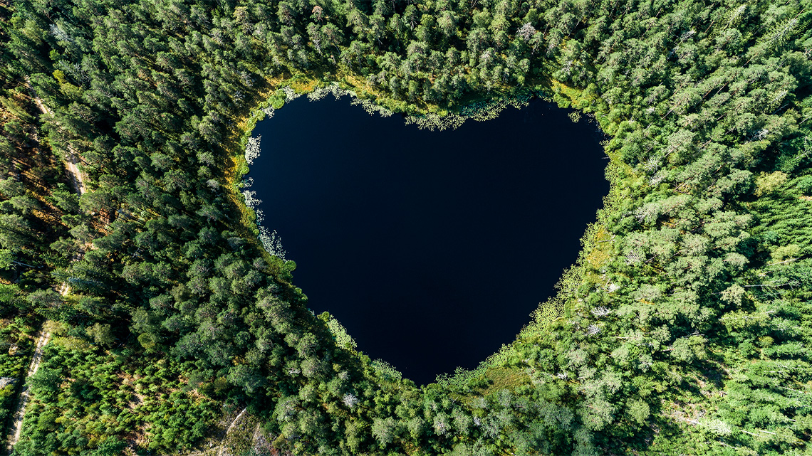 An aerial view of a lake in the shape of a heart, surrounded by trees.