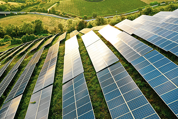 Solar panels installed on rolling terrain face the sun