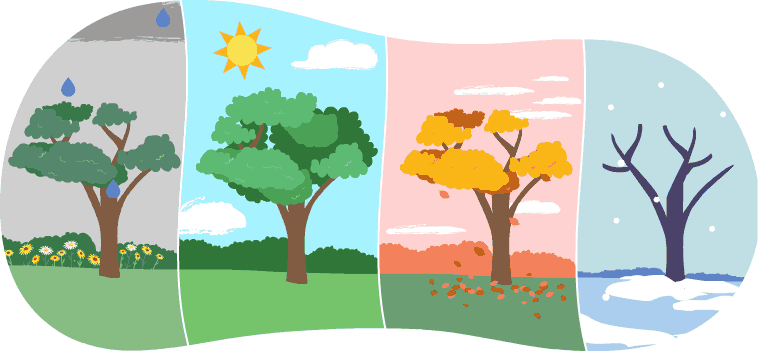 A tree experiencing all four seasons.