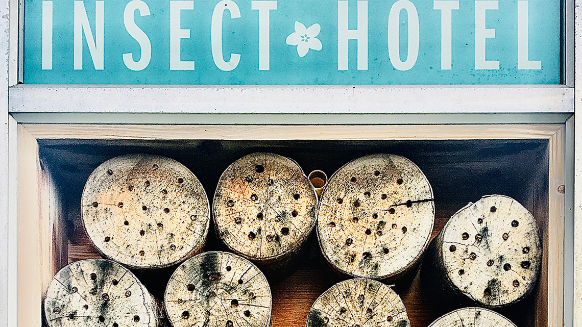 There are 8 logs with holes drilled into them. 