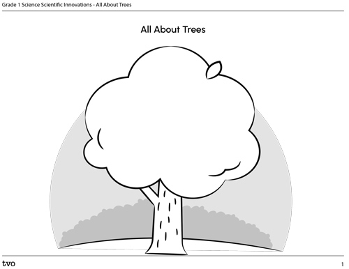 All About Trees