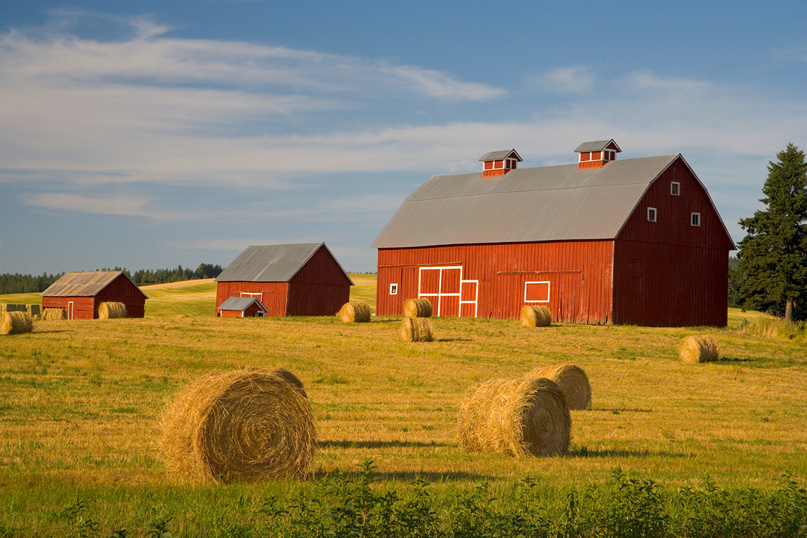 Farm