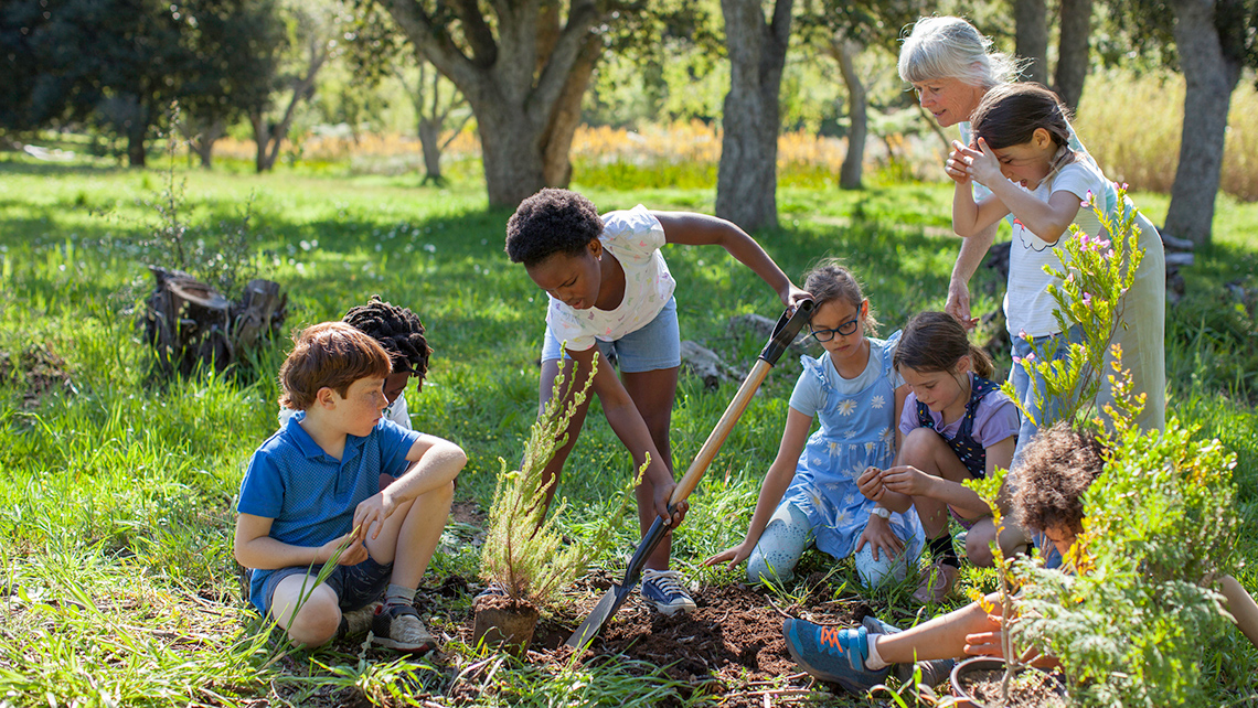 Learners work together to plant a tree outside.