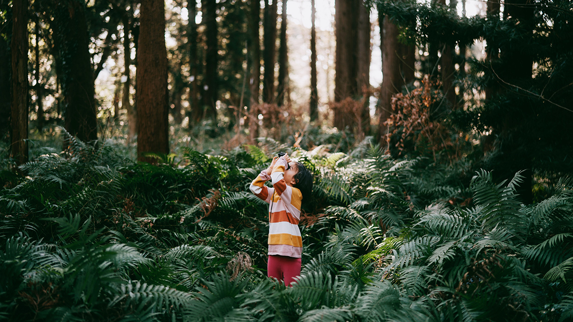 A learner exploring a forest covered in ferns and trees.