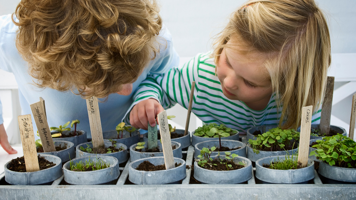 Learners growing their own vegetables.