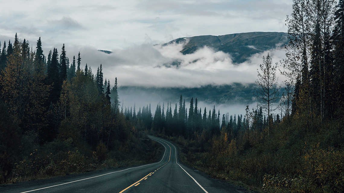 A road going through a forested area.