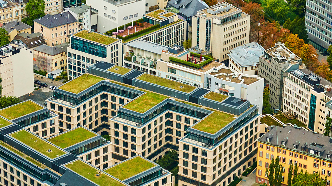 Several multi-story buildings with green rooves on top.