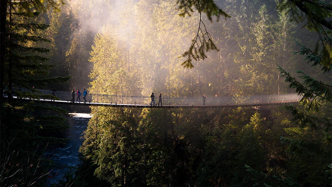 A straight, narrow bridge hanging by wires over a river in a forest.