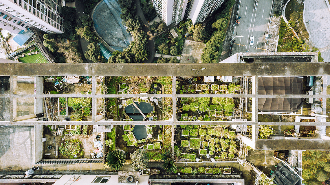 A roof with multiples gardens, garden plots, and potted plants growing.
