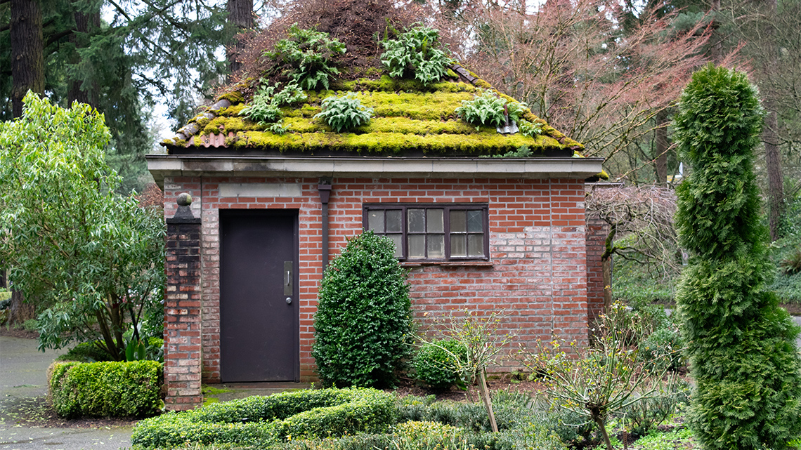 A small building with a lush plants and moss growing on its roof.