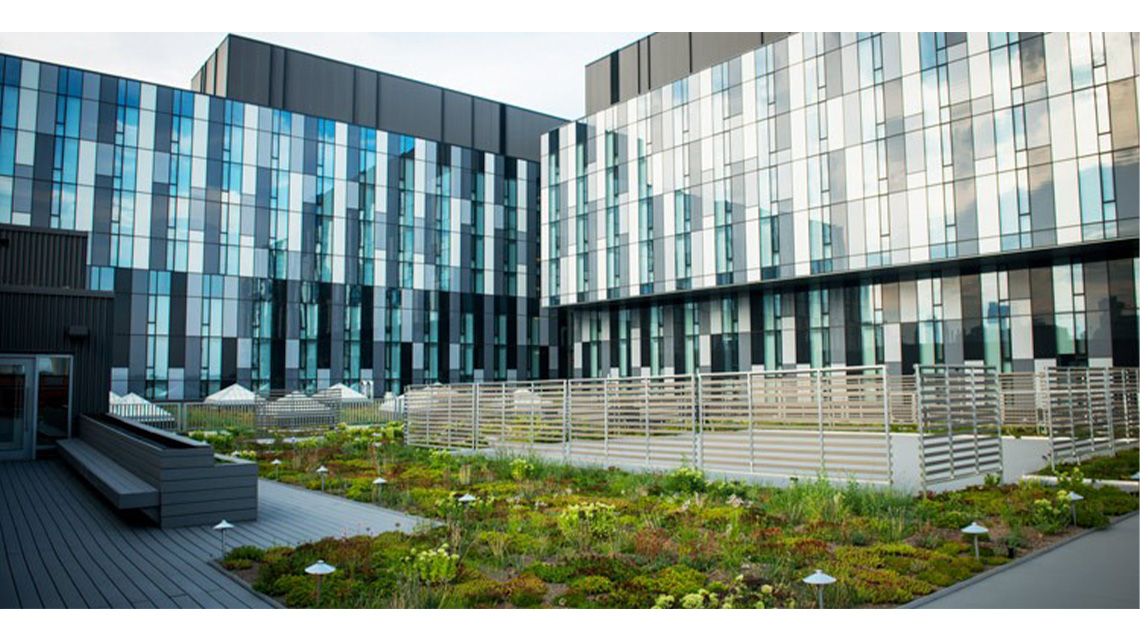 A garden on a roof surrounded by taller glass buildings.