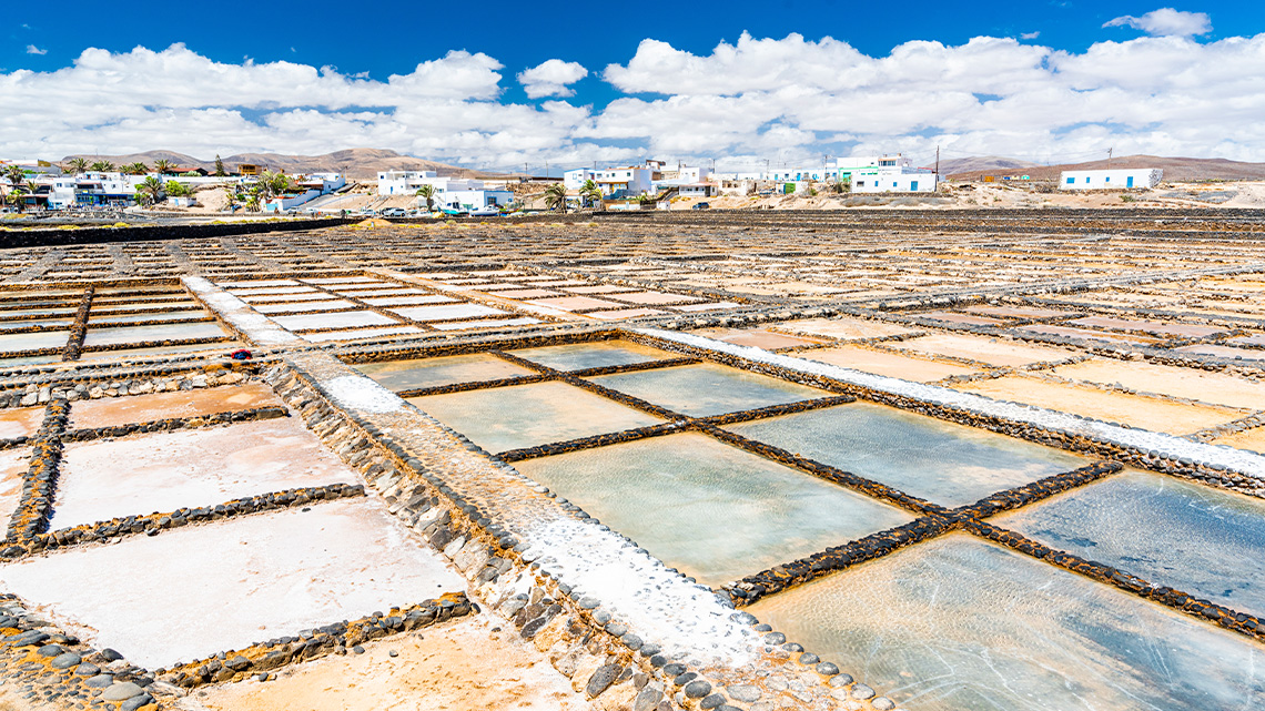 A field of rows of small, rectangular salt pans with a rustic village in the background.