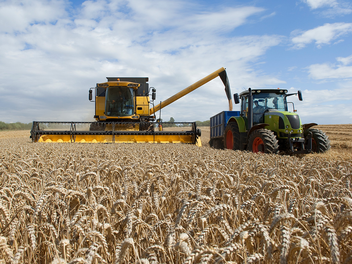 A combine harvester at work harvesting a wheat field.  