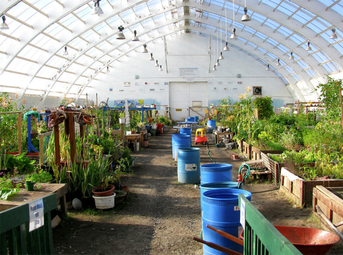 Interior of a large greenhouse with plants, lights, and blue barrels of water.