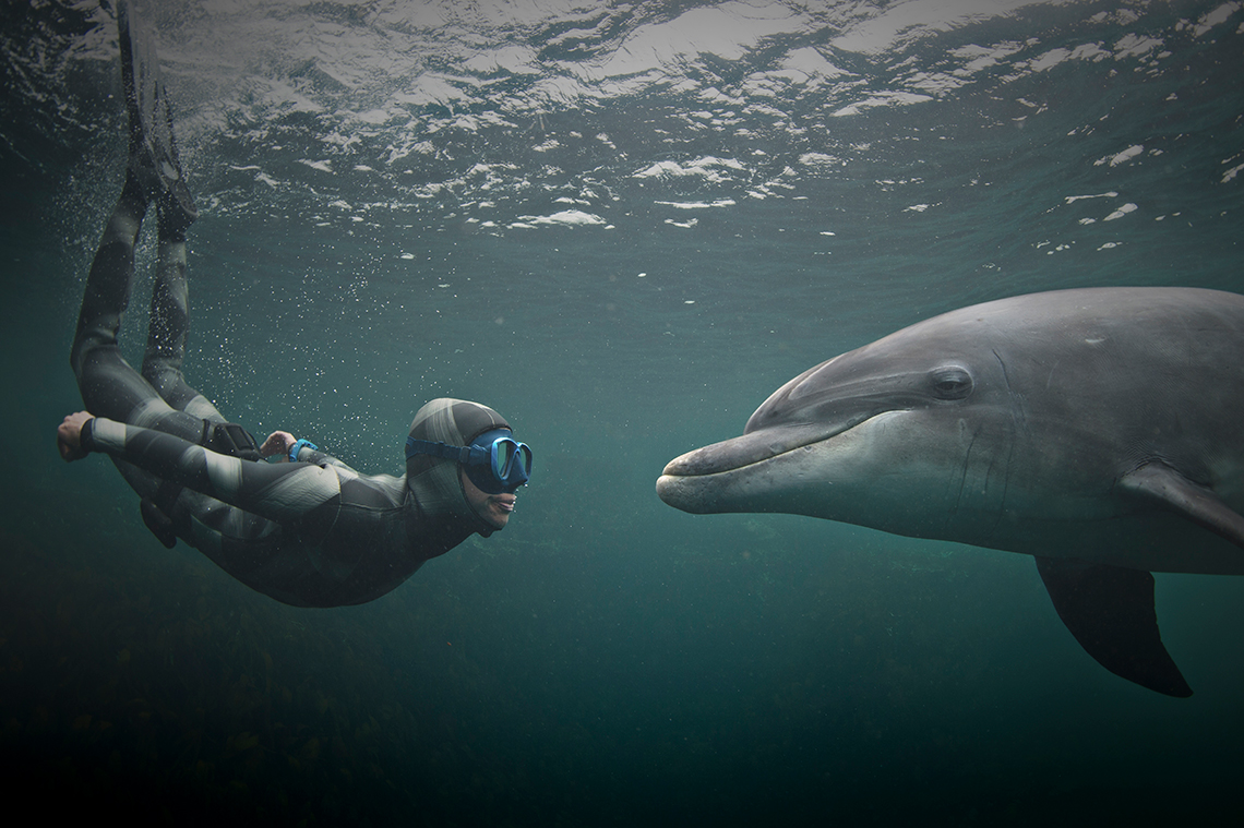 Diver