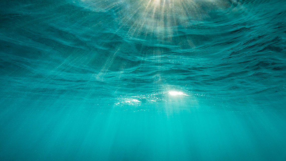 An underwater view of the surface of the water as the sun's rays shine through.