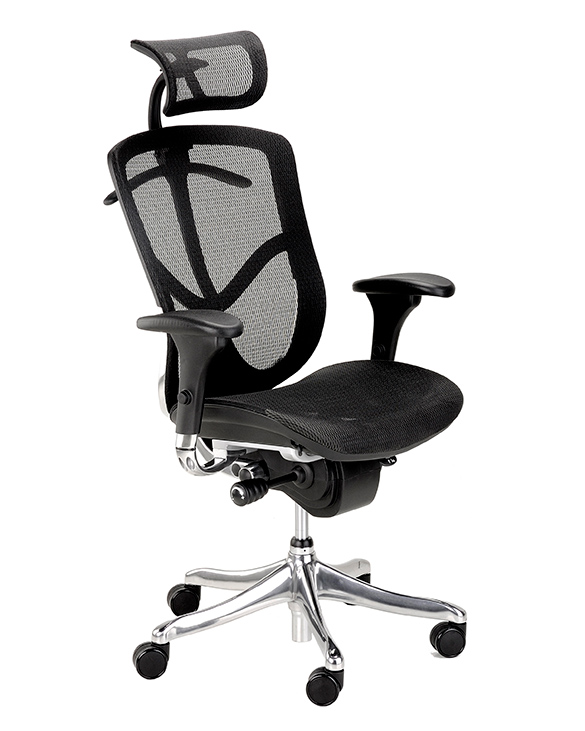 An ergonomic office chair with adjustable arm rests, a cushioned seat, and an ergonomically curved back and head rest.