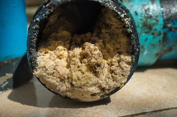 A disconnected pipe is completely clogged with fat, oil, and grease.