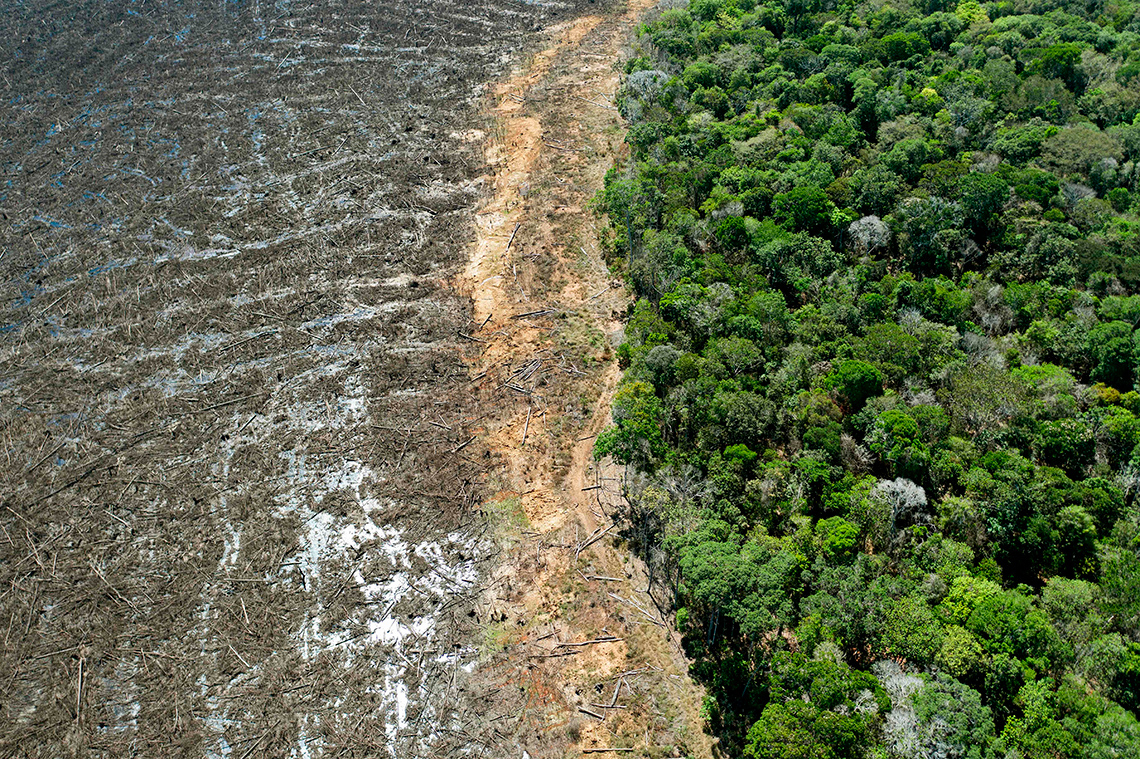 A lush green forest abruptly ends where land has been cleared of all plants, and only dirt remains.