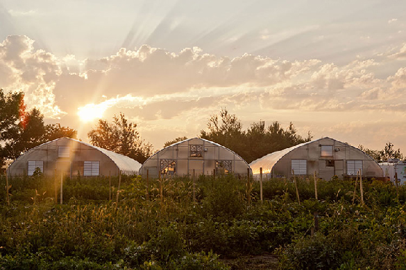 Three greenhouses.