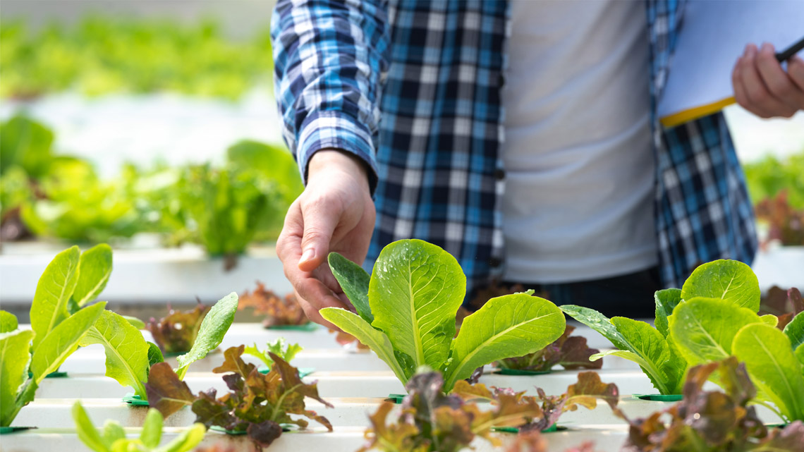 A person placing plants into pots in their rooftop garden.