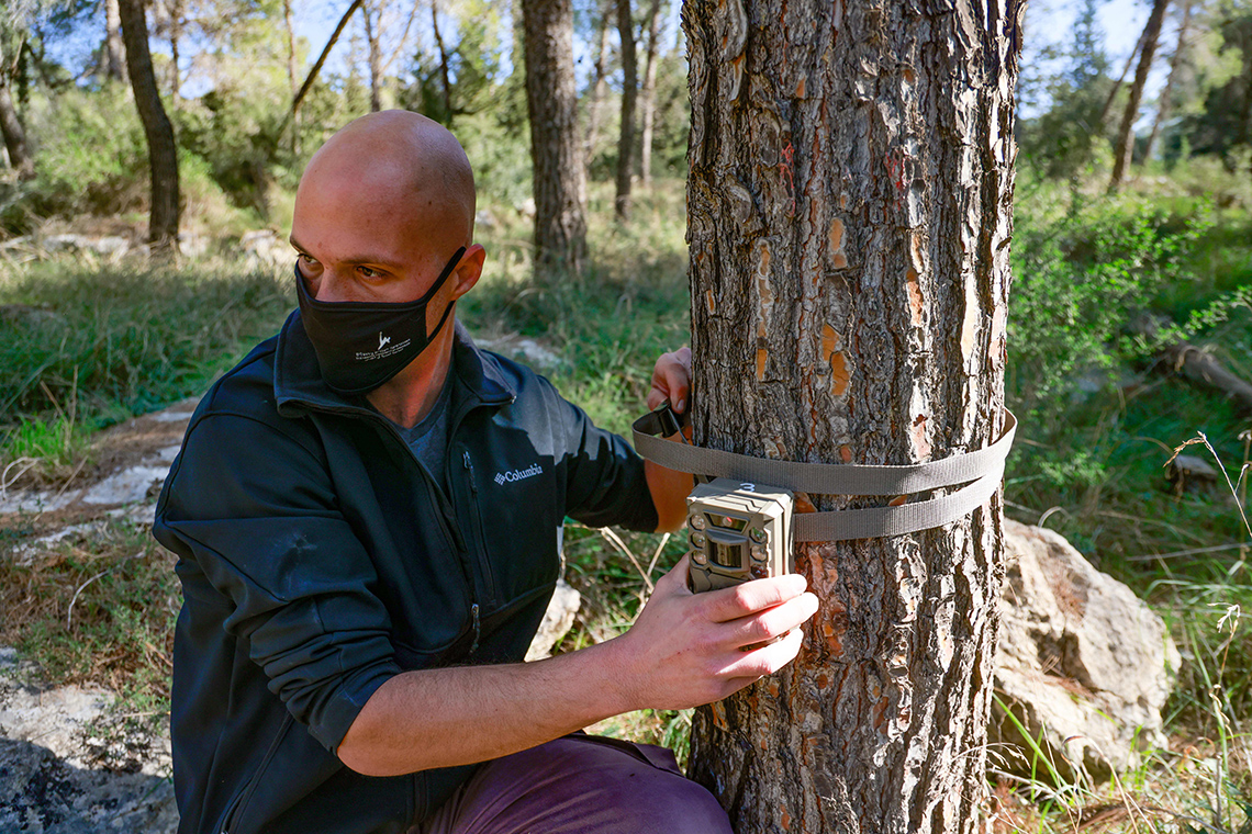 A person adjusting a camera trap the have set up on the base of a tree in a forest.