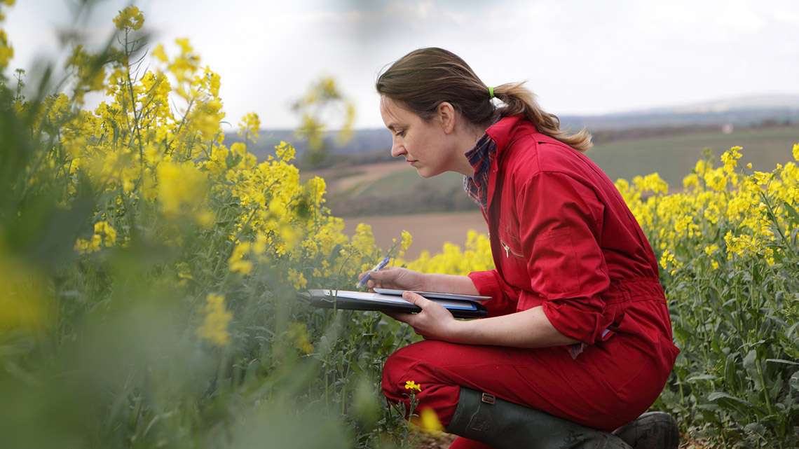 A person examining some plants and recording information.
