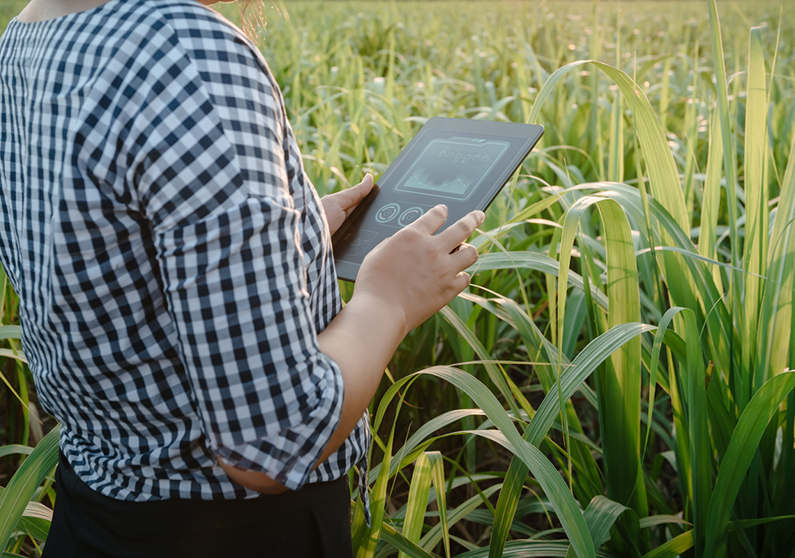 A digital tablet that is being held up in front of plants to analyze plant disease