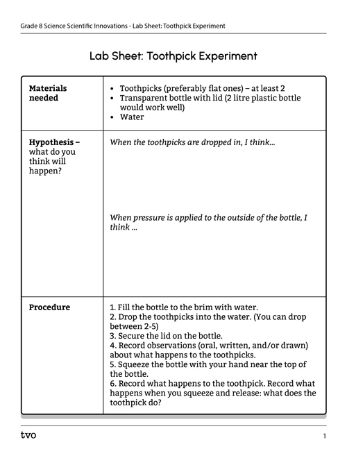 Lab sheet: Toothpick Experiment
