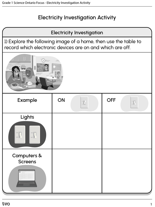 Electricity Investigation Activity