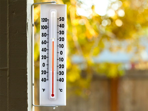 A thermometer