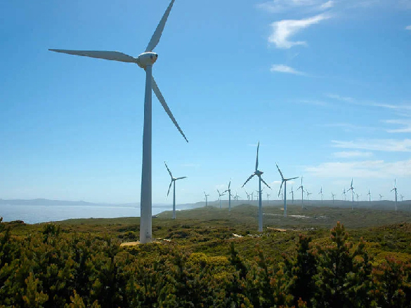 A field full of wind turbines.