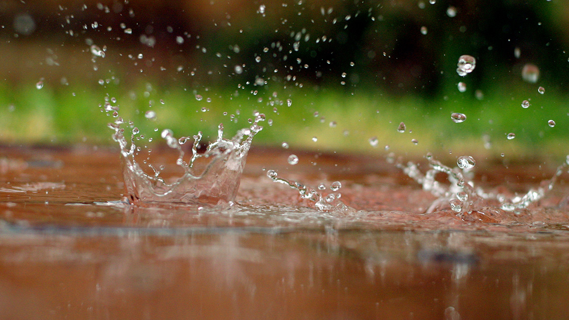 Drops of rain fall into a puddle of water.