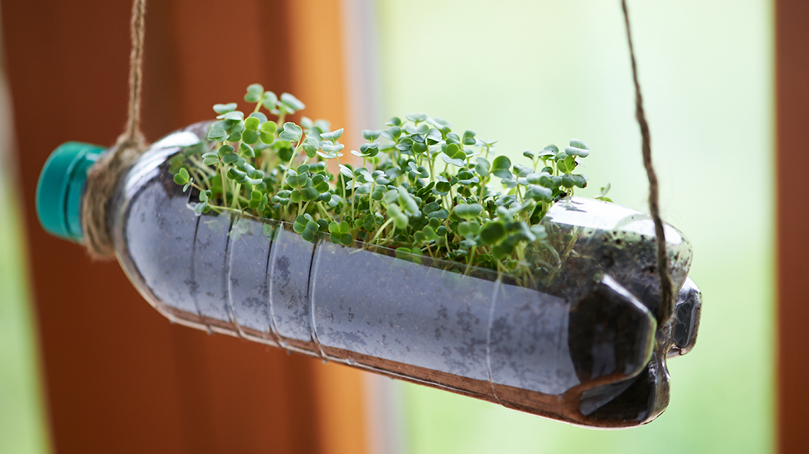 A plastic water bottle is cut open and filled with soil and plants. It is hanging in a window.